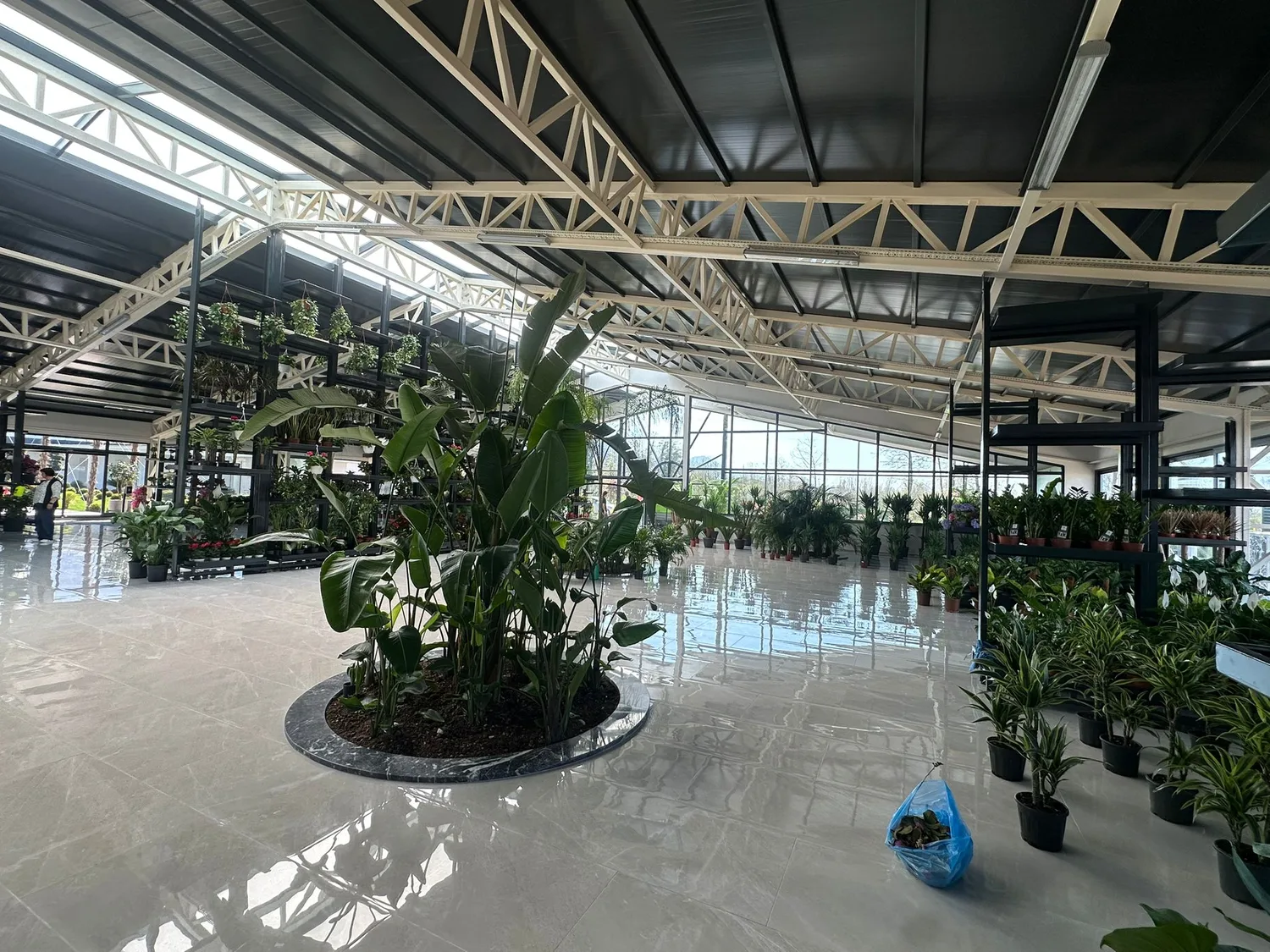 İç mekânda orkide bakımını kolaylaştıran adımlar